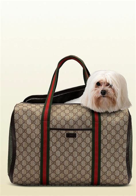 gucci carrier bag|designer tote bag pet carrier.